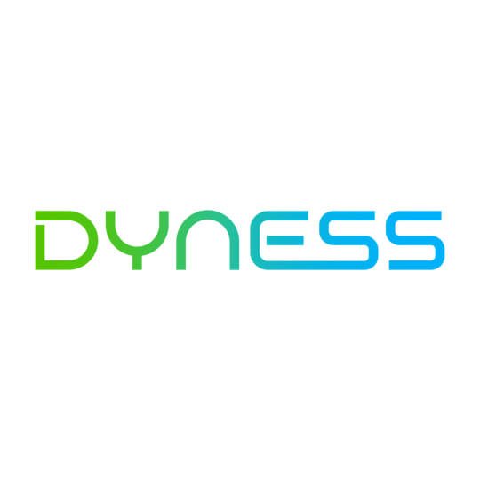 Dyness